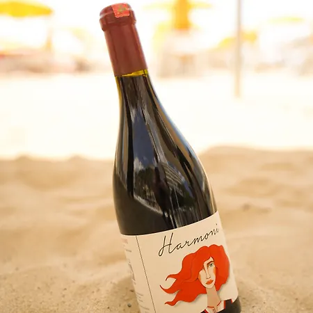 Hotel Albanian Star Kryemëdhej